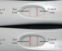 When Do You Do IUI After Positive OPK?