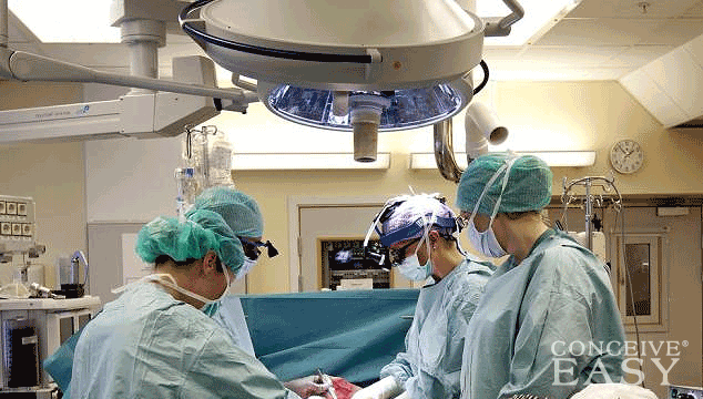 Four Women with New Wombs are Trying to Get Pregnant