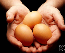 Egg Donation: Should Payment be Taxable Income or Not?