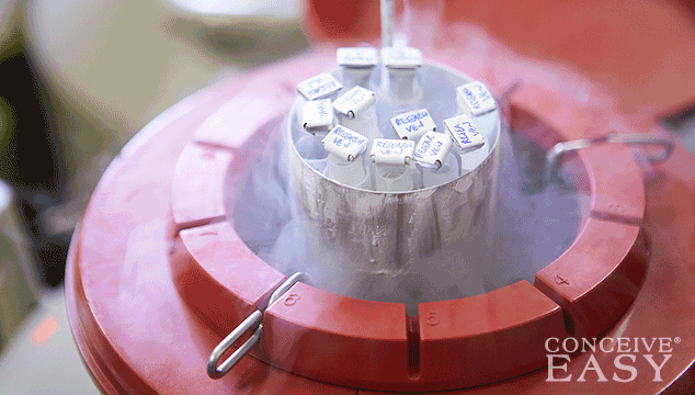 Testicular Cancer Survivor Suing Fertility Center for Destroying Sperm Samples