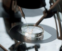 Vitamin D Linked with Greater Success with In-Vitro