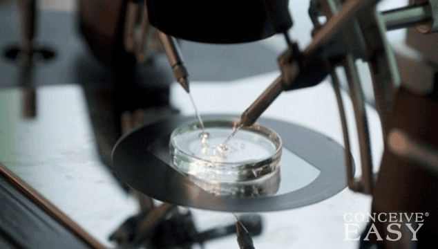 Vitamin D Linked with Greater Success with In-Vitro