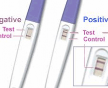Pregnancy Test Directions