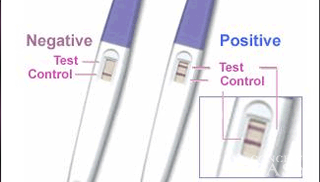 Pregnancy Test Directions
