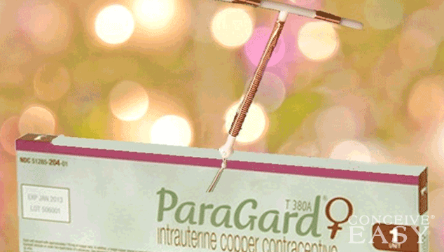 Can You Get Pregnant with Paragard IUD?