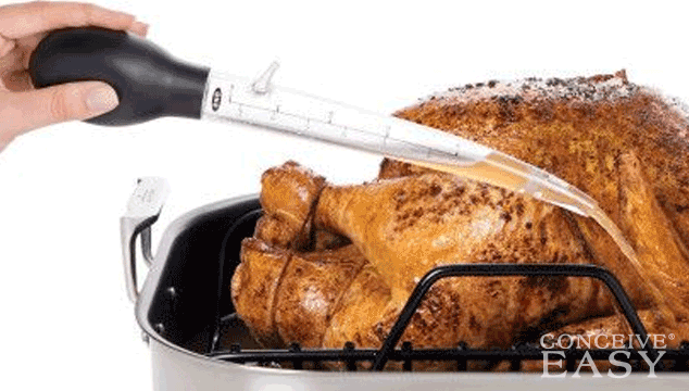 How do I Get Pregnant with a Turkey Baster?