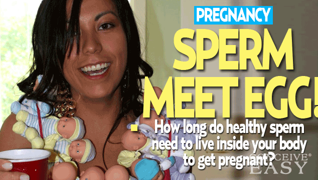 How Long to Leave the Sperm in to Get Pregnant?