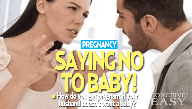 How to Get Pregnant if my Husband Doesn't Want To