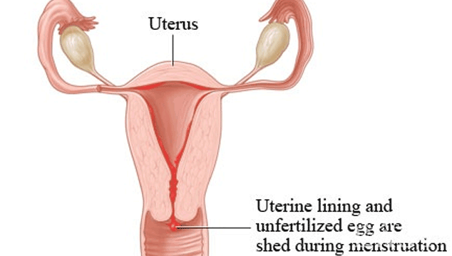 How to Get Pregnant if You Have Low Progesterone