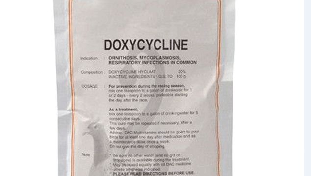 Can Doxycycline Help me Get Pregnant?