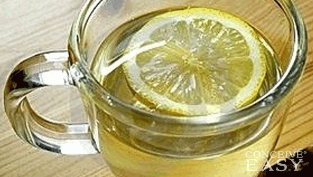 Can Drinking Lemon Water Help Me Get Pregnant?