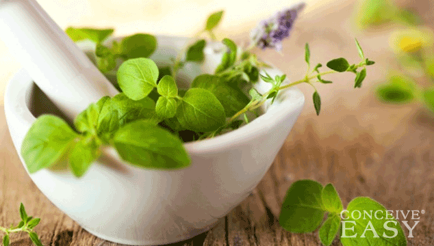 How to Get Pregnant with Natural Herbs