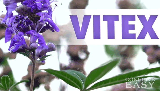 How to Get Pregnant with Vitex