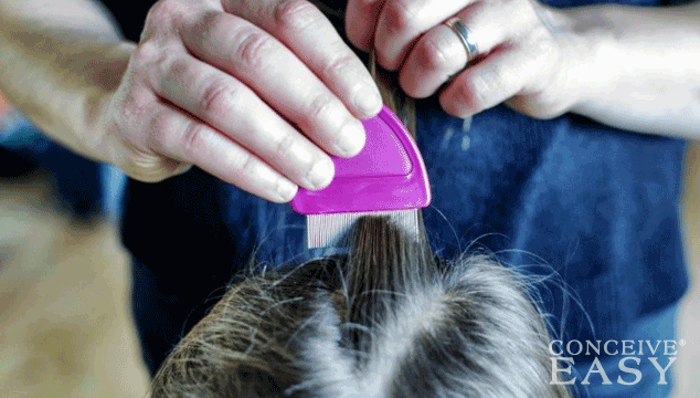 How to Treat Lice in Children's Hair