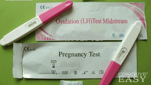 Can an Ovulation Kit be used as Pregnancy Test?