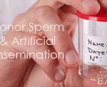 Donor Sperm Artificial Insemination