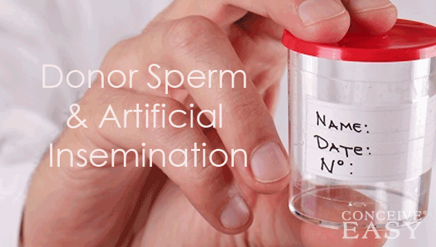 Donor Sperm Artificial Insemination