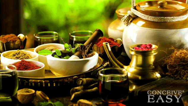 How to use Ayurveda to Increase Fertility