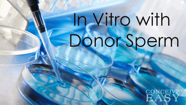 In Vitro with Donor Sperm Cost