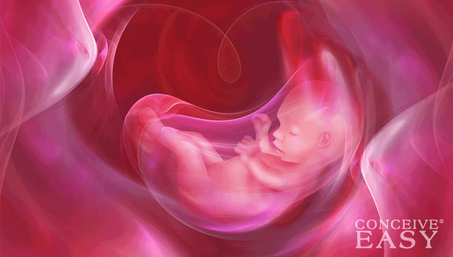 Pregnancy Problems: Too Much Amniotic Fluid