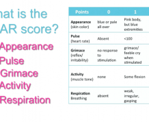 What Does an Apgar Score of 9.9 Mean?