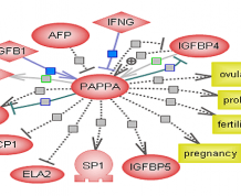 Human Chorionic Gonadotropin (HCG) and Pregnancy-Associated Plasma Protein (Papp-a)