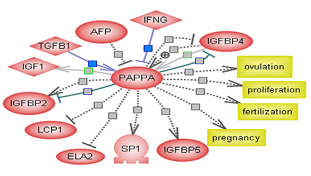 Human Chorionic Gonadotropin (HCG) and Pregnancy-Associated Plasma Protein (Papp-a)