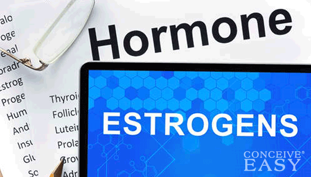 Can I get Pregnant with Low Estrogen?