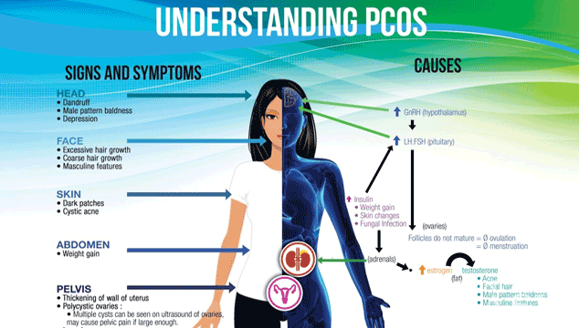 Can I get Pregnant with PCOS and No Periods?