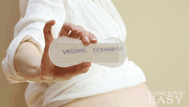 Can I get Pregnant with White Discharge?