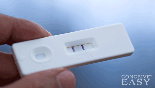 When Can I Expect a Positive HPT if I am Pregnant?