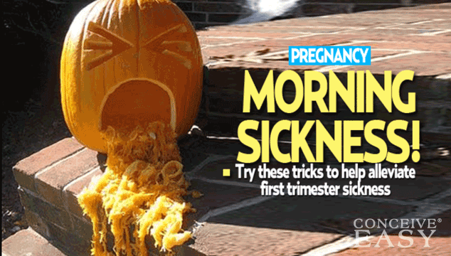 How to Survive Severe Morning Sickness