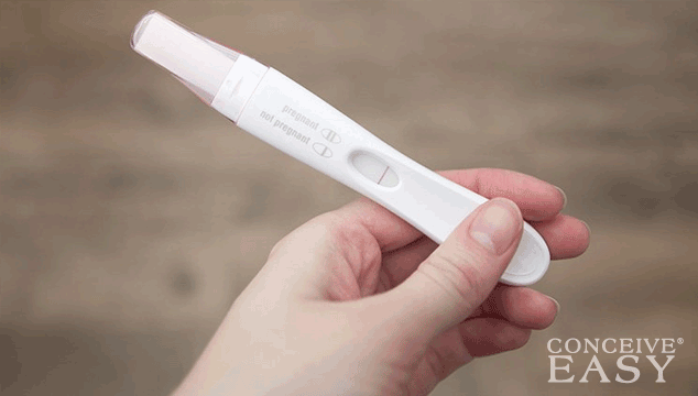 What is the Best Early Pregnancy Test?