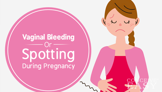 Spotting in Early Pregnancy - Does it Mean Miscarriage?