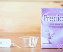 What you Need to Know about Ovulation Predictor Kits