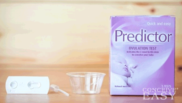 What you Need to Know about Ovulation Predictor Kits