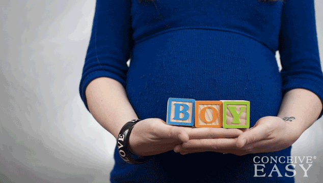 How to Get Pregnant With a Baby Boy Diet