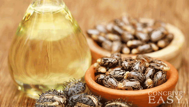 Can Castor Oil Help With Getting Pregnant?