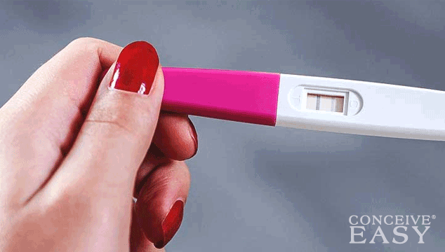 Know More About the Pregnancy Test