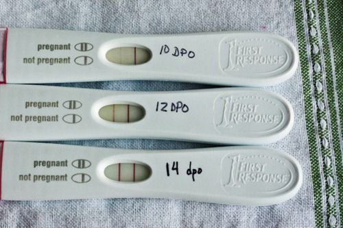 ovulation test results per DPO compared