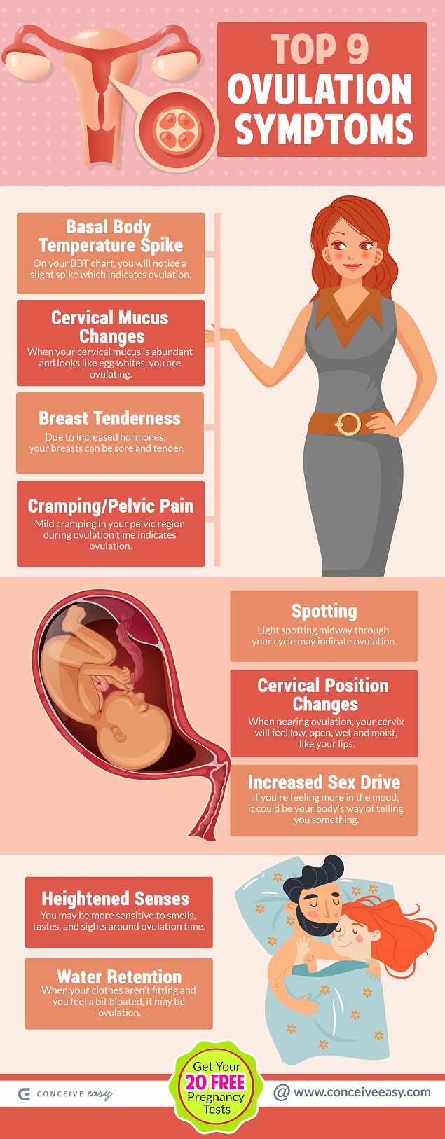 Top 9 Ovulation Symptoms Infographic