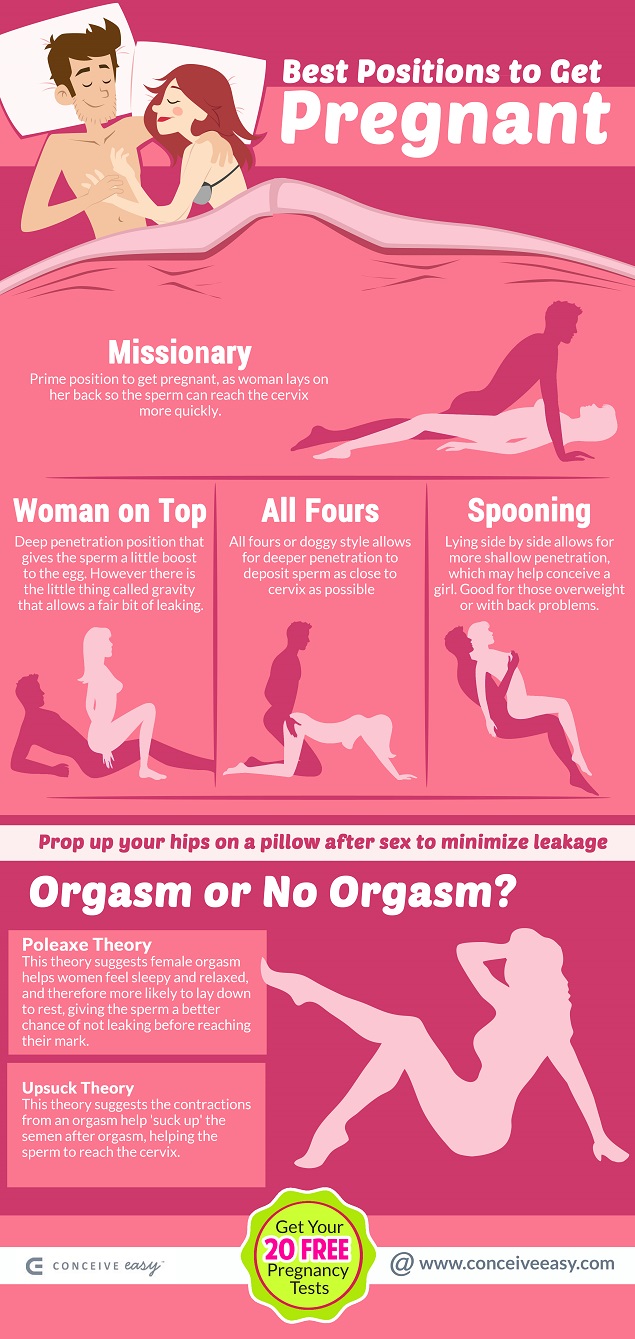 Best Positions to Get Pregnant Infographic