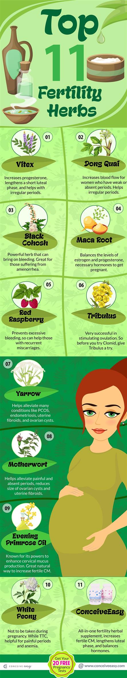 Top 11 Fertility Herbs Infographic