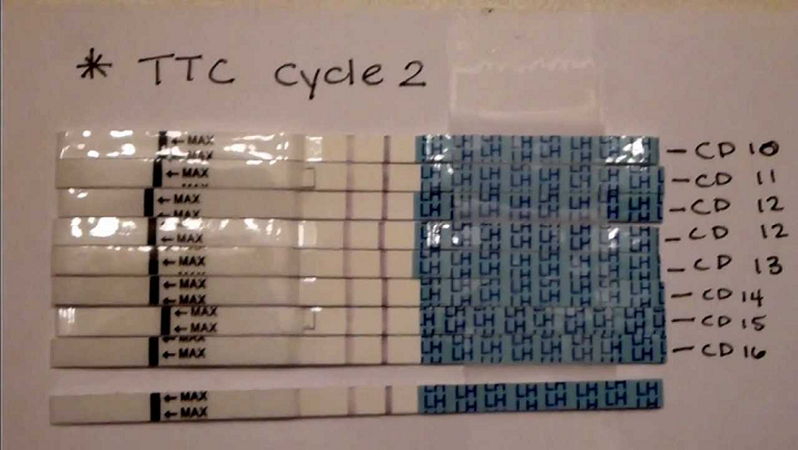 ovulation tests to help pinpoint ovulation