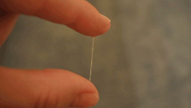 checking cervical mucus for ovulation