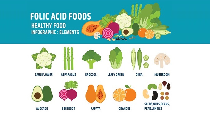 foods rich in folic acid