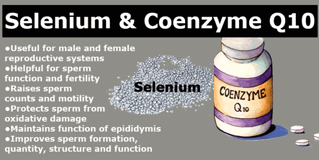fertility benefits of selenium and Co10