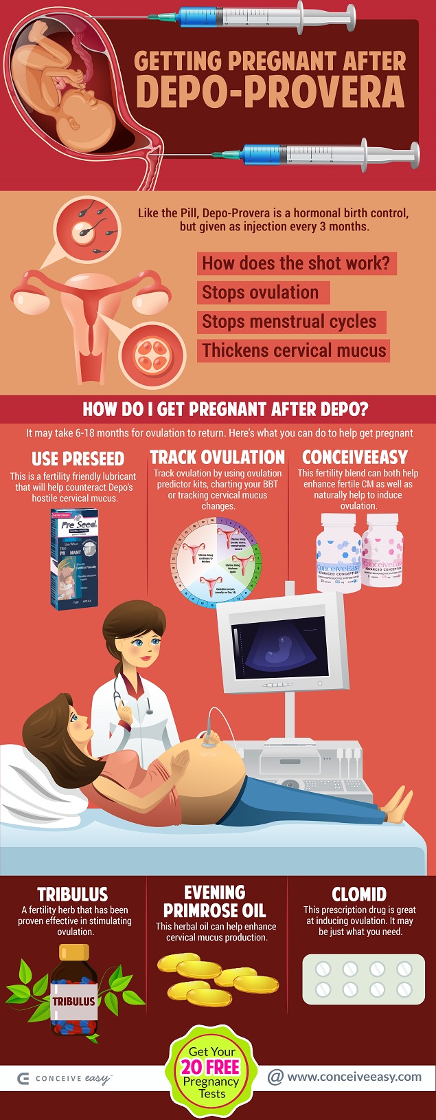 How to Get Pregnant After Depo Provera Infographic