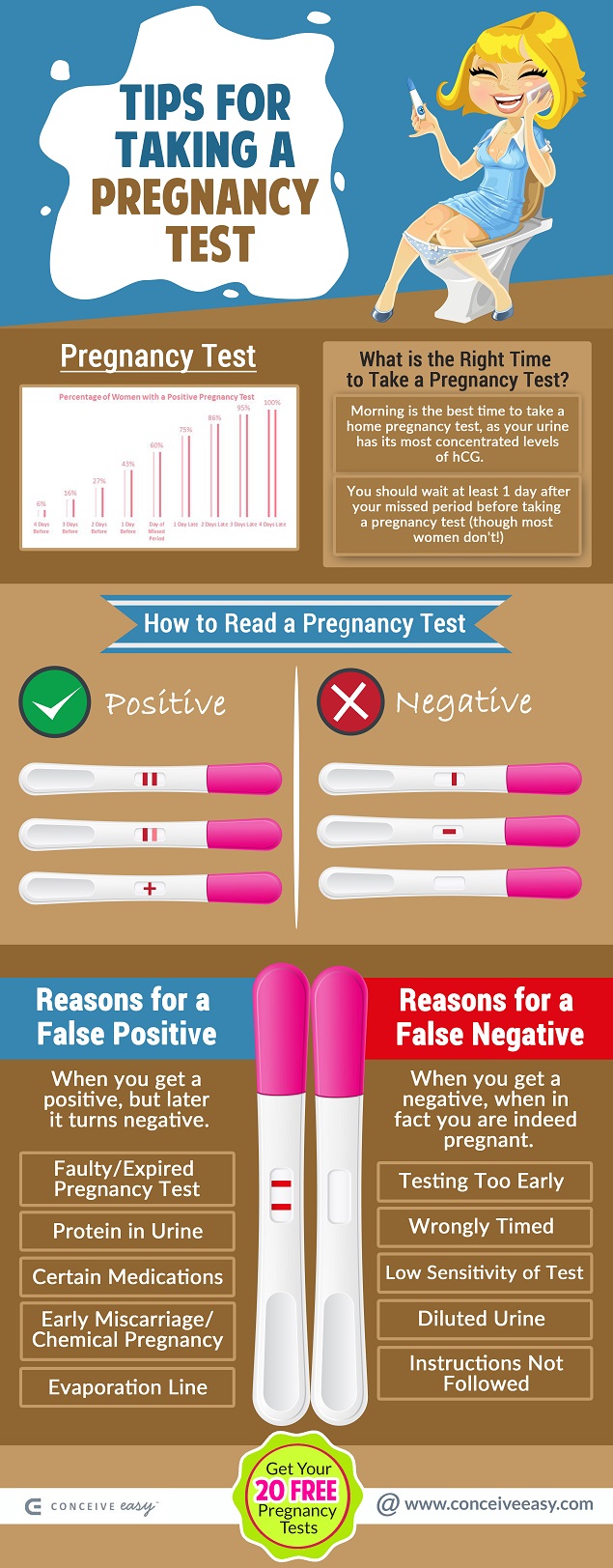 Tips for Taking a Pregnancy Test Infographic