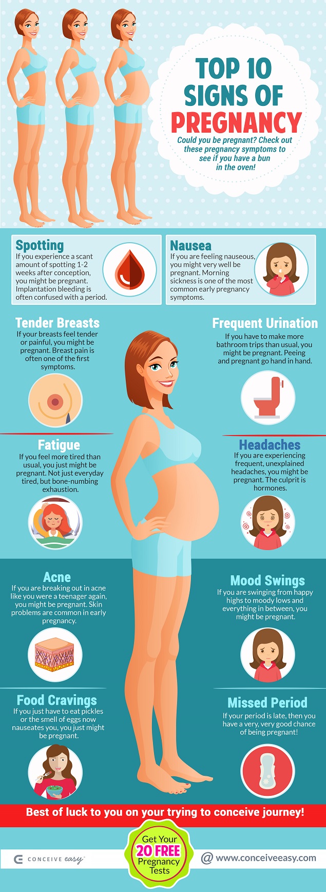 Top 10 Signs of Pregnancy Infographic